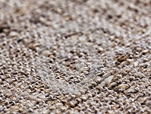 Light natural linen texture