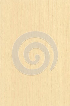 Light Natural Wood Texture Background With Subtle Grain Patterns