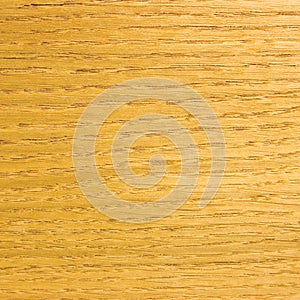 Light Oak Grain Natural Veneer Texture Background