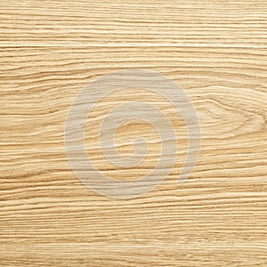 Light Oak Wood Texture Grain Surface