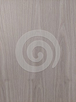 Light oaks of natural finish. Wood veneer for texture, material, interior, furniture