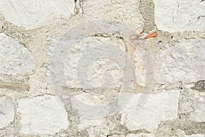 Light Old Brickwork Texture. Ancient Brick Wall.