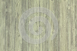 Light olive painted old wooden background. Green wood texture