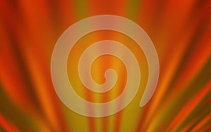 Light Orange vector texture with colored lines.