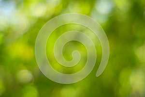 Light of out focus,Blurred background