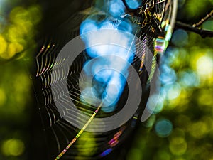 Light phenomena in the web