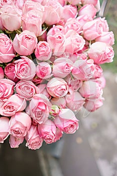 Light pink bush roses flowers in vase on wooden table. Beautiful summer bouquet. Arrangement with mix flowers. The