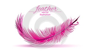 Light pink feather isolated on white background