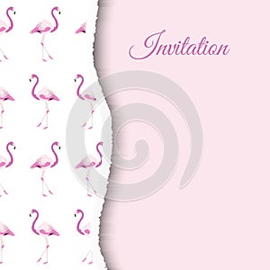 Light Pink Flamingo Background Design for Invitations