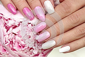 Light pink, pastel manicure on various shapes of nails