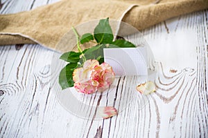 Light pink rose with a blank card for text on a wooden