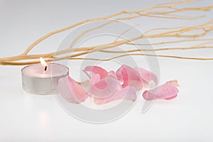 Light pink rose and dried wood stick with tea light candle