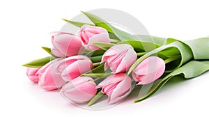 Light pink tulip bouquet on a plain background shot with soft light and a shallow depth of field.