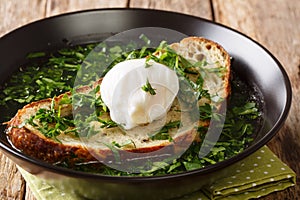 Light portuguese green soup Acorda with poached bread and egg close-up in a plate. horizontal