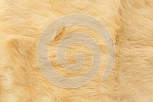 Light rabbit fur Texture, animal skin background