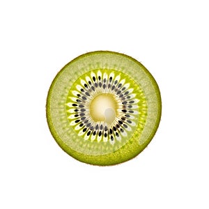 Is light with radiating rows of tiny, black seeds embedded in