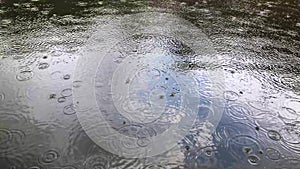 Light Rain At Noon On Lake. Rain Drops Falling on The Surface of The Lake.