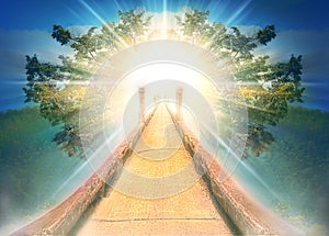 Light Rays and tree for background abstract believe for GOD  Stairs to heaven