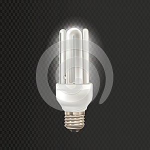 Light realistic fluorescent lamp. Economical, energy-saving light bulbs.