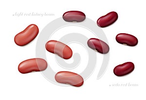 Light red kidney and seda beans isolated on white background. Top view