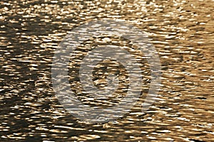 light reflection of river wave in the sunset time, water background