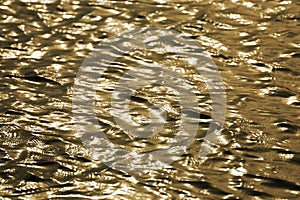 light reflection of river wave in the sunset time, water background