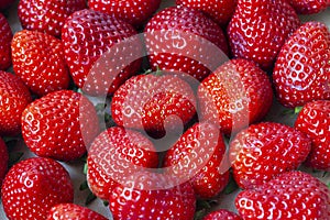 The light reflection on the shiny surfaces suggests the strawberries\'s freshness