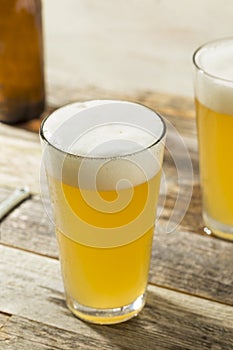 Light Refreshing Summer Craft Beer