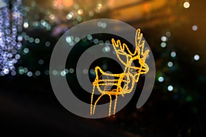 Light of Reindeer with blurred background photo