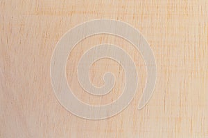 Light rough textured cut surface of an African tree. Wood background or blank for design