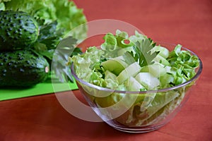 Light salad of fresh cucumbers