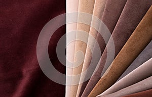 Light Set Sail Champagne and brown colors velour textile samples