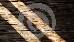 Of light and shadow creates a dramatic effect emphasizing the rich