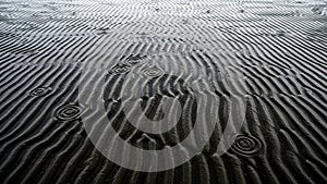 Of light and shadow emphasizes the fluidity and movement captured