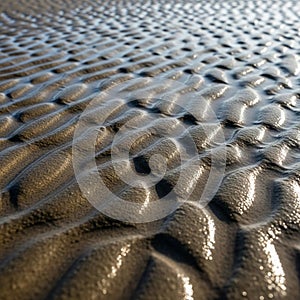 Of light and shadow emphasizes the undulating shapes and adds depth