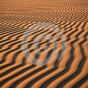 Of light and shadow enhances the sense of depth and movement across