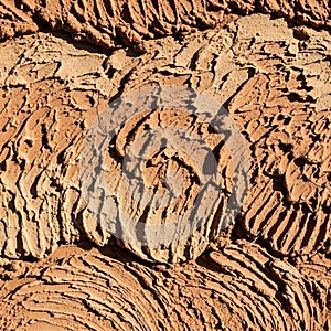 Of light and shadow, enhancing the depth and complexity of the