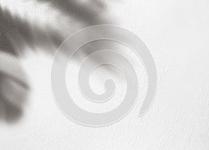 Light and shadow leaves on grunge white wall concrete background