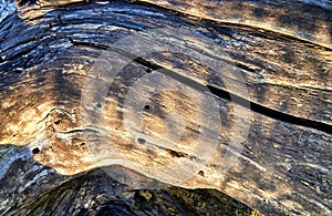 Light and shadow on an old weathered tree trunk with holes and cracks as a natural wood background