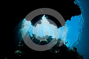 Light Shines Into Dark Underwater Crevice in Raja Ampat