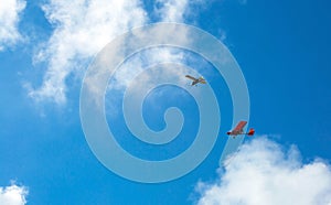 Light single-engine plane