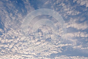 Light blue sky filled with fluffy cloud on a warm day.