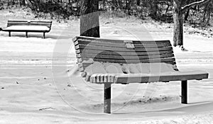 Light snow on a park bench