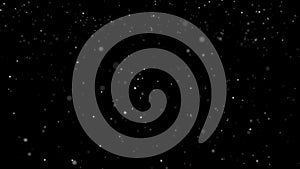 Light soft  snow falling isolated on black 4k seamless loop.  Place it over your footage in screen or add mode.