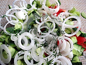Light summer salad of fresh vegetables