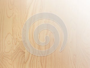 Light tan smooth natural birch wood grain abstract background surface