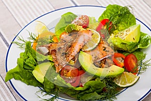 Light tasty salad of grilled trout fillet