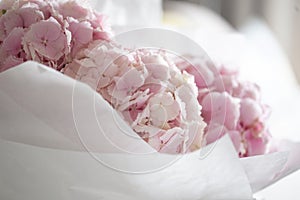 Light tender pink hydrangea bouquet, closeup photo