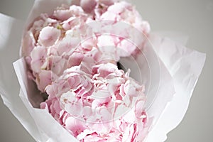 Light tender pink hydrangea bouquet, closeup photo