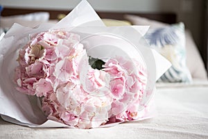 Light tender pink hydrangea bouquet, closeup photo